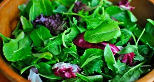 10 Receitas de Salada de Folhas